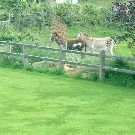 Cillcoman Lodge B&B ウェストポート エクステリア 写真