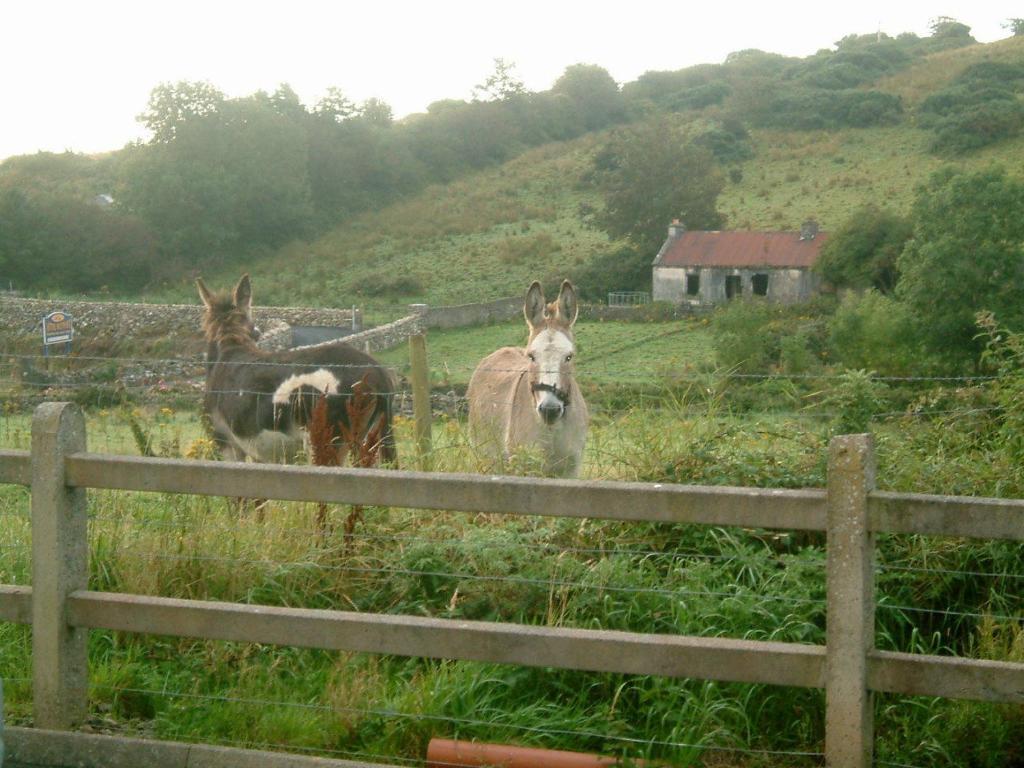 Cillcoman Lodge B&B ウェストポート エクステリア 写真